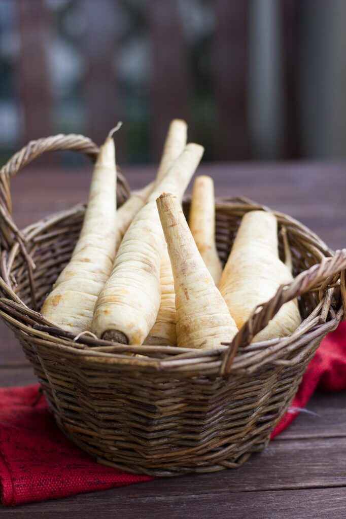 when to plant parsnips